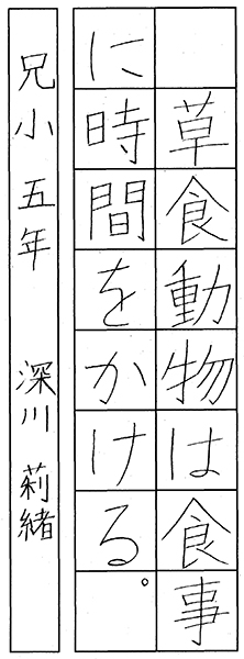 深川 莉緒