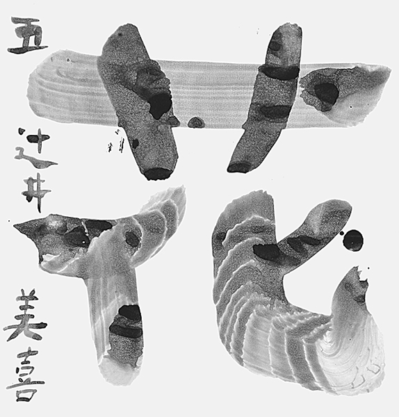 辻井 美喜