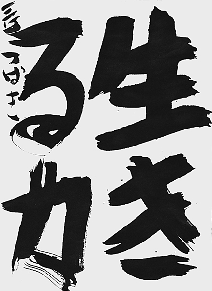 藤井 椿姫