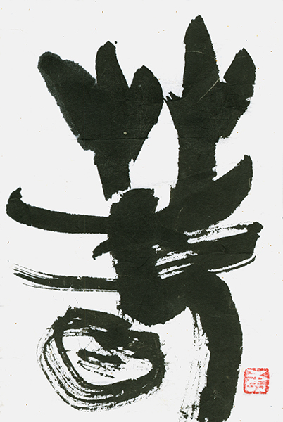 松下明野生