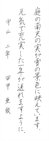田中 亜依