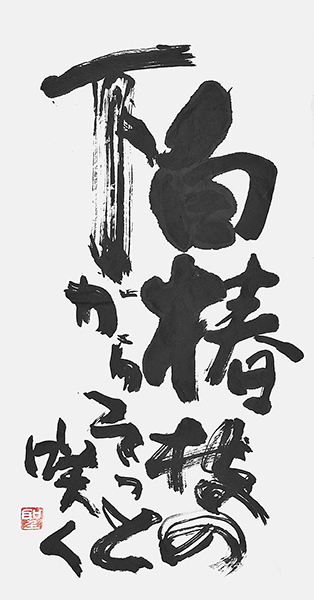 上野聖拓