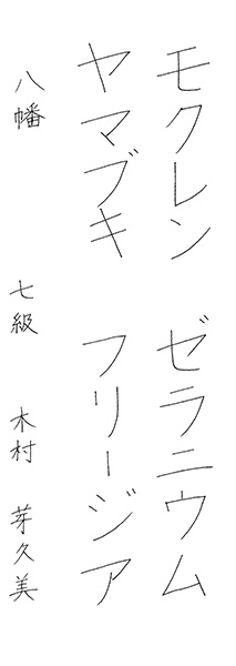 木村芽久美