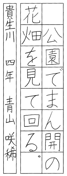 青山咲稀