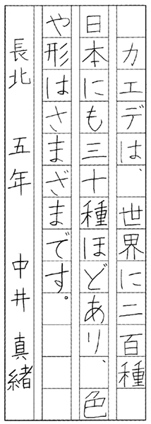 中井真緒