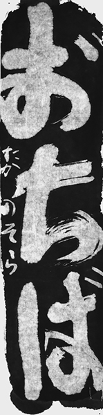 高野奏良