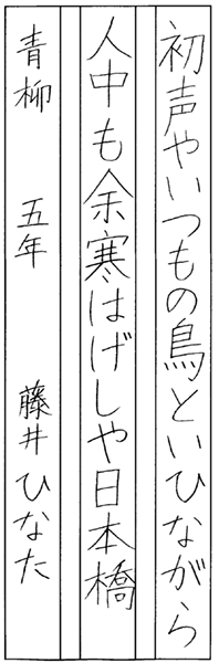 藤井陽向