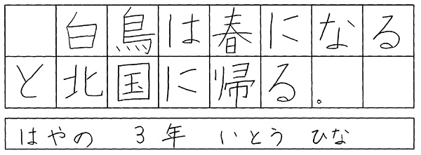 伊藤妃菜
