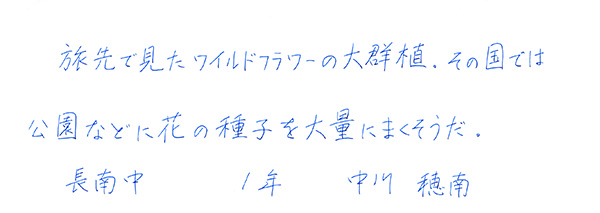 中川穂南