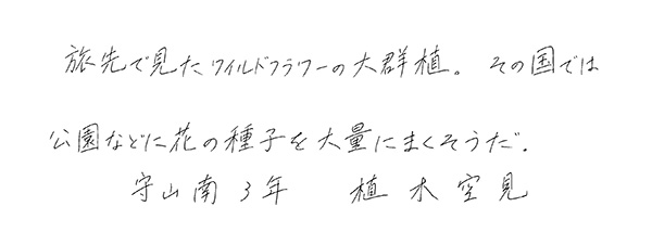 植木空見