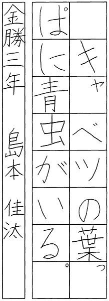 島本佳汰