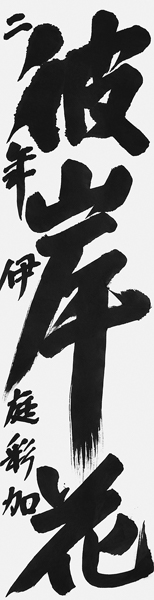 伊庭彩加