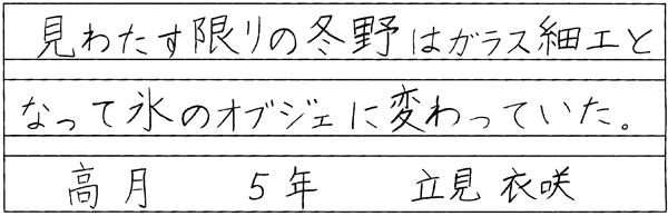 立見衣咲