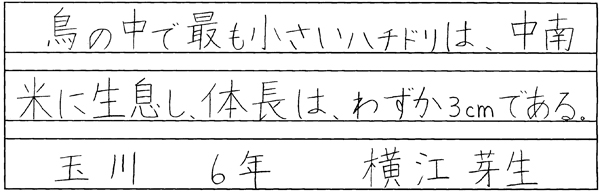 横江芽生