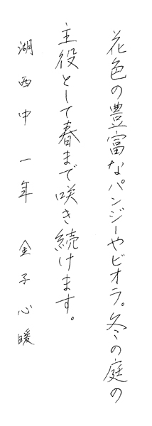 金子心暖