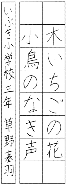 草野奏羽