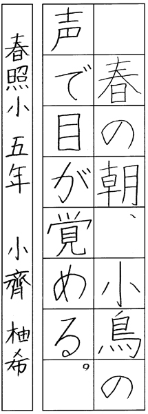 小齊柚希