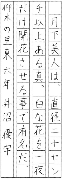 井沼優宇