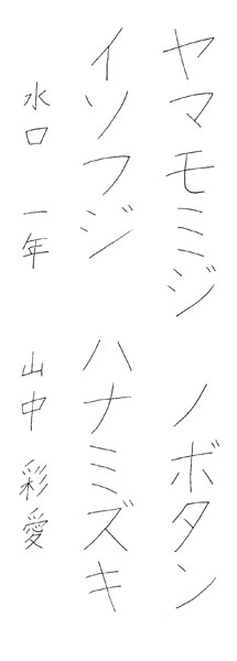 山中彩愛