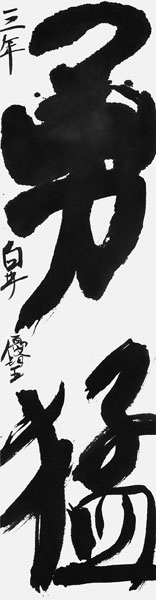 白井優望