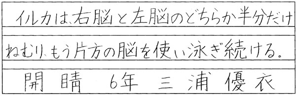 三浦優衣