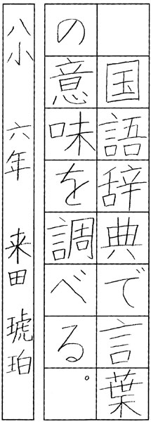 来田琥珀