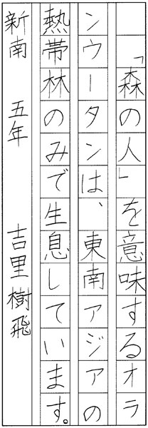 吉里樹飛