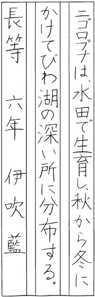 伊吹 藍