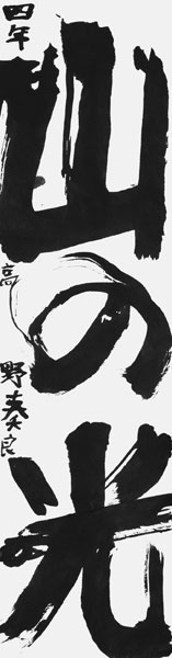 高野奏良