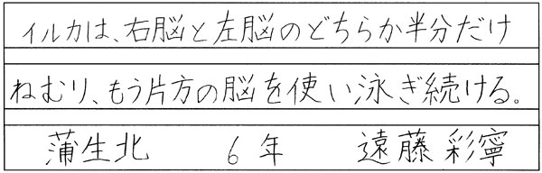 遠藤彩寧