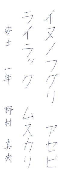 野村真央