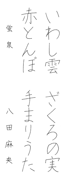 八田麻央