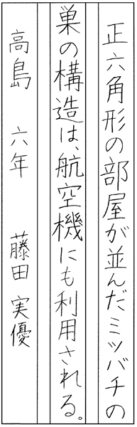 藤田実優