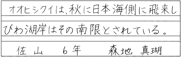 森地真瑚