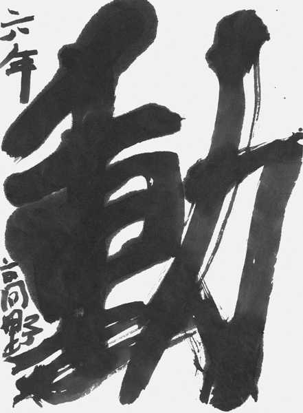 高野奏良