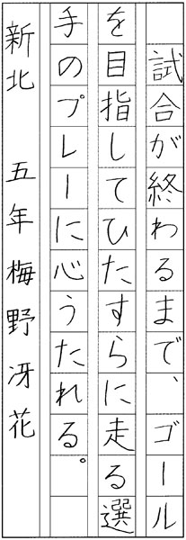 梅野冴花