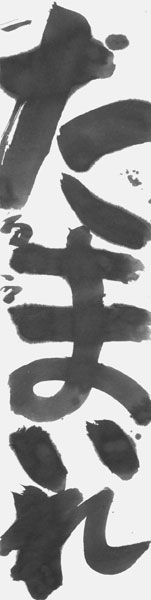 辻 瑠羽