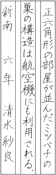 清水紗良