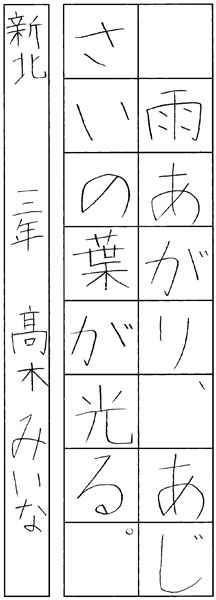 髙木美衣菜