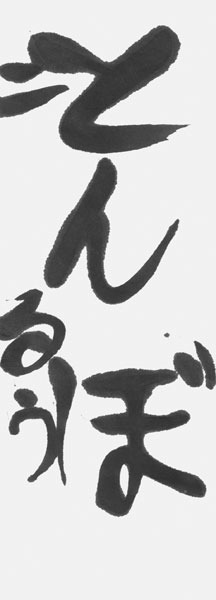 辻 瑠羽