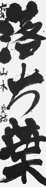 山本愛結