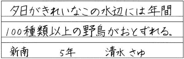 清水咲結