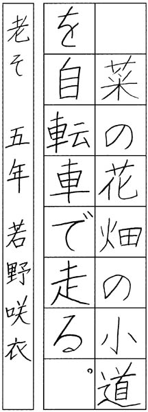 若野咲衣