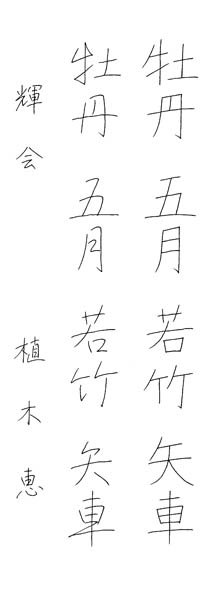 植木 恵