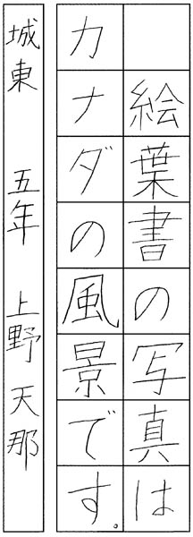 上野天那