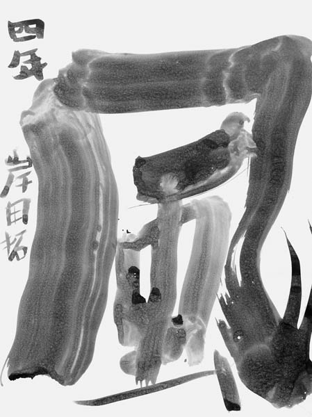 岸田 拓